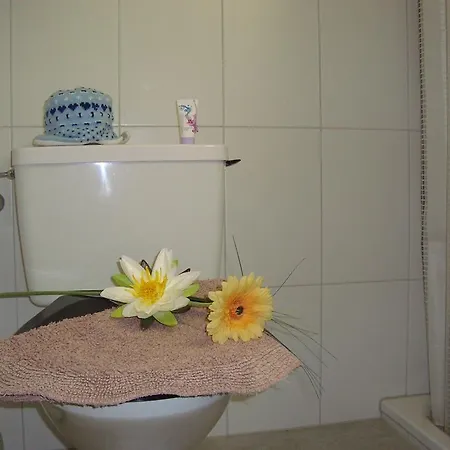 Cityhaus Отель